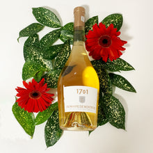 画像をギャラリービューアに読み込む, 1701 ロゼ