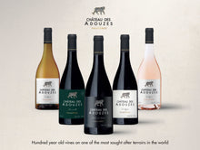 画像をギャラリービューアに読み込む, Five Tigers, Five Blessings (五福🧧临门)