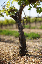 将图片加载到图库查看器,2016 Domaine Montrose La Balade Rouge