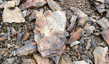 画像をギャラリービューアに読み込む, 五虎临门(五福🧧临门)