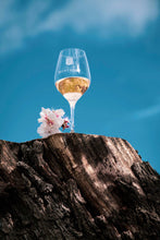 Load image into Gallery viewer, Chateau des Adouzes le Tigre Rosé (粉老虎)