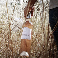 Load image into Gallery viewer, Montrose Rosé Magnum - 1.5L
