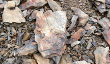 Load image into Gallery viewer, 2018 Château des Adouzes le Tigre Magnum - 1.5L