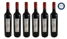Load image into Gallery viewer, 6 Bottles of 2017 CEO Shiraz - The Legacy Red
